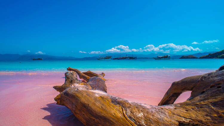 Pink Beach | Komodo Island, Indonesia