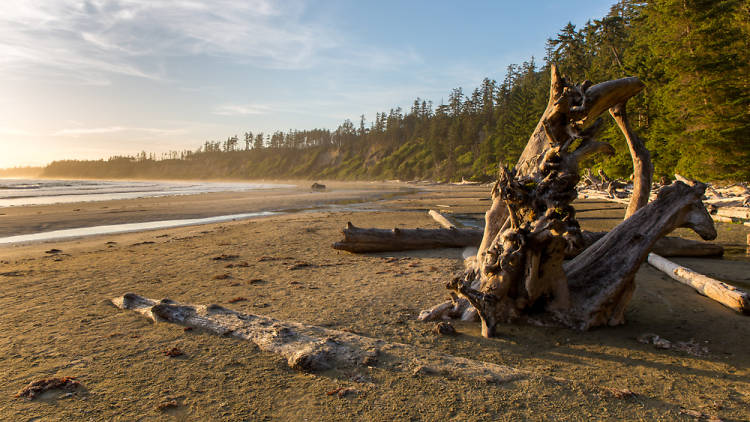 Long Beach | Vancouver Island, Canada