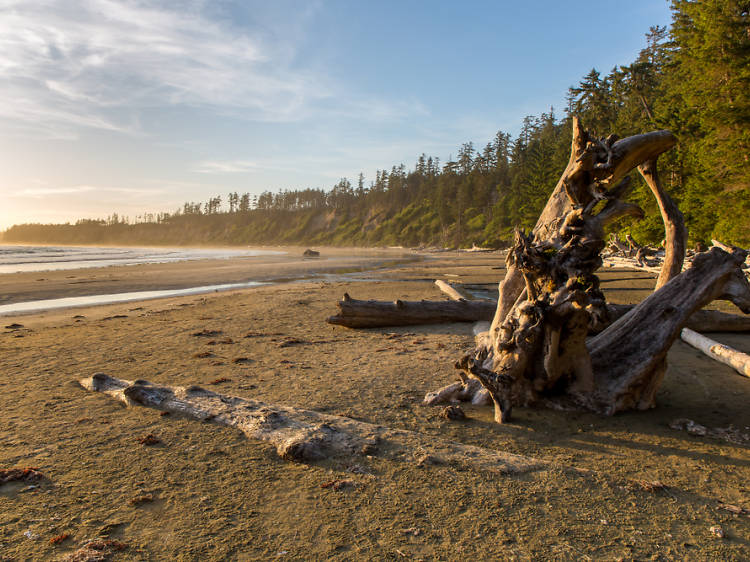 Long Beach | Vancouver Island, Canada