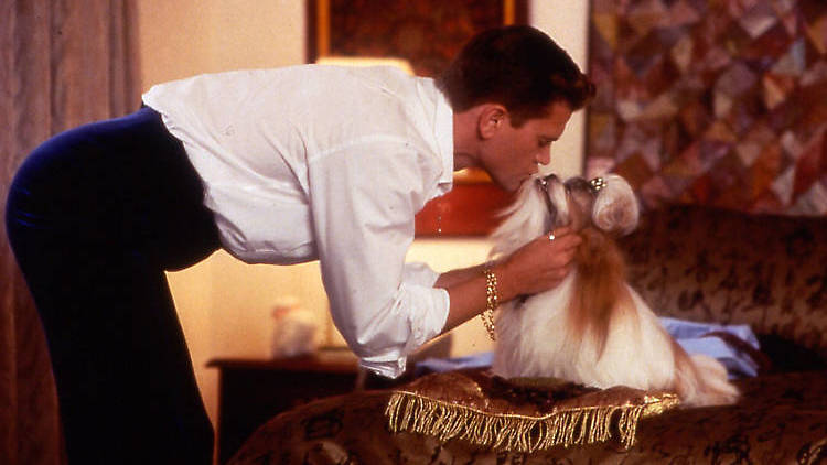 Best in Show (2000)