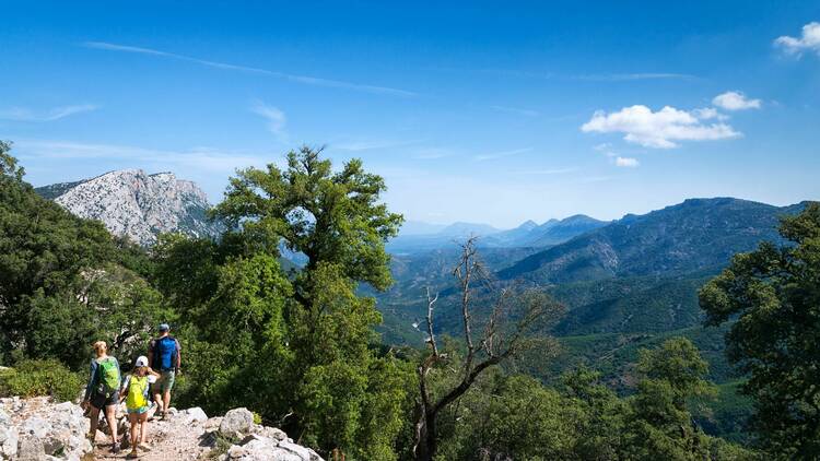 Canyon in Sardinia